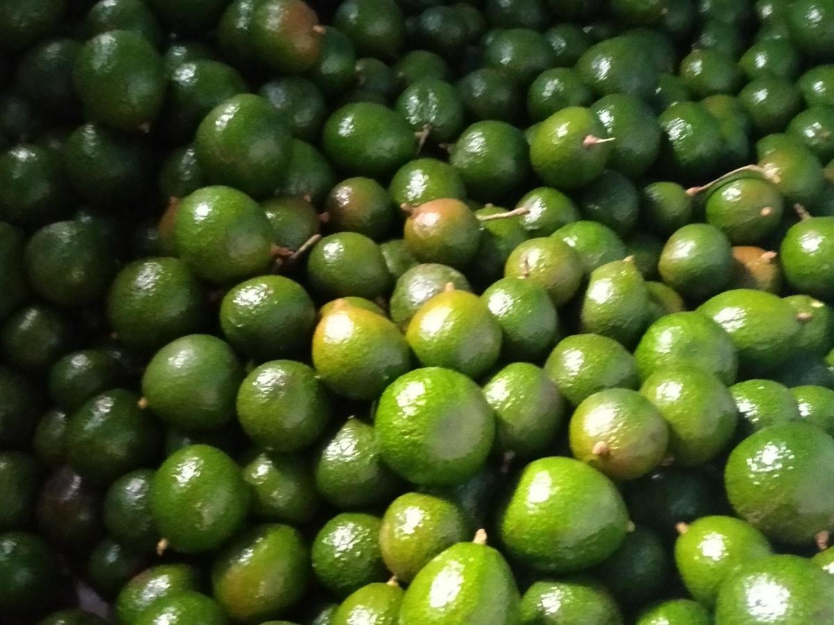 Mistletoe Homestay & Cafe Munnar Exteriör bild