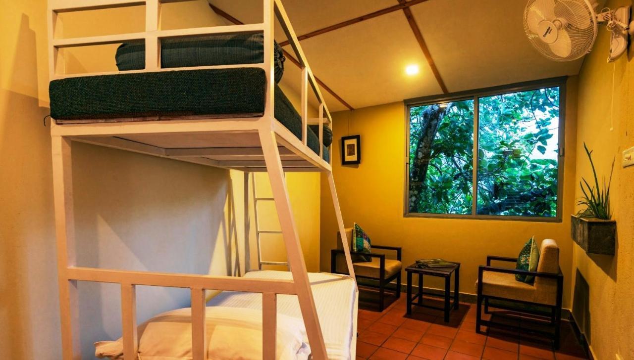 Mistletoe Homestay & Cafe Munnar Exteriör bild