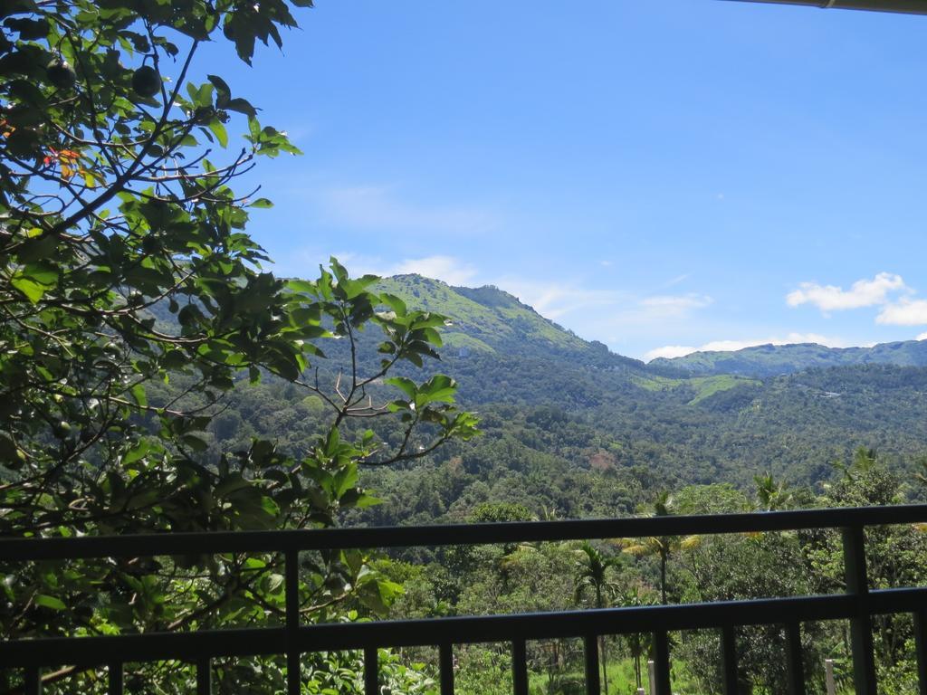 Mistletoe Homestay & Cafe Munnar Exteriör bild