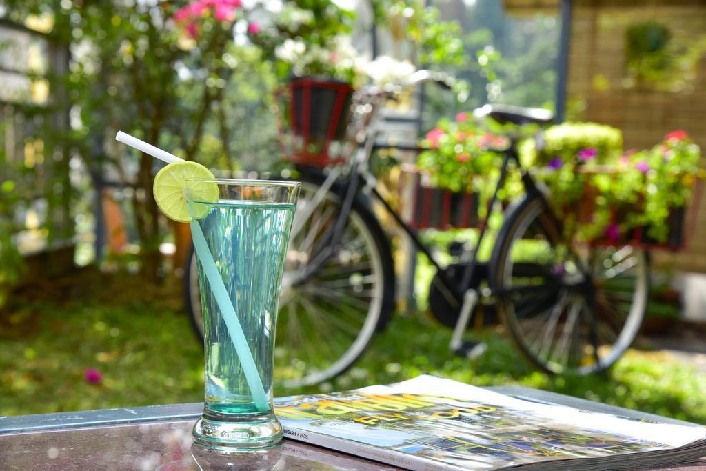 Mistletoe Homestay & Cafe Munnar Exteriör bild