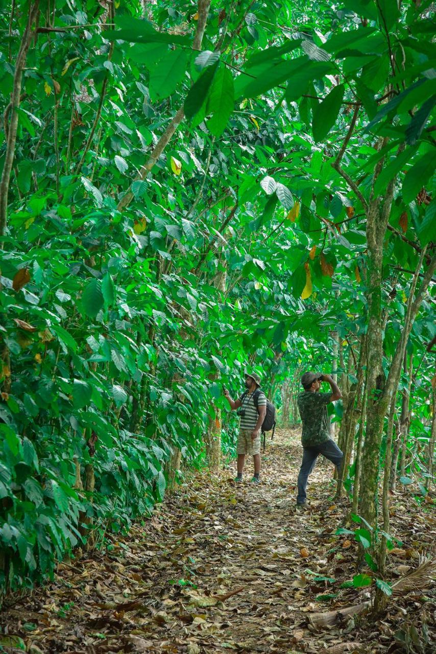 Mistletoe Homestay & Cafe Munnar Exteriör bild
